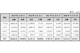 偏关偏关的要账公司在催收过程中的策略和技巧有哪些？